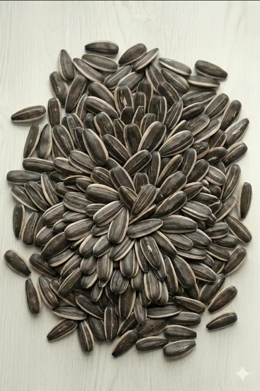 Girasol Confitero Inshell